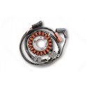 Stator alternátoru Electrosport Vespa GTS 250 i.e. 2006 - 2010